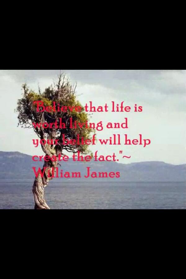RandomQ1239 tweet picture
