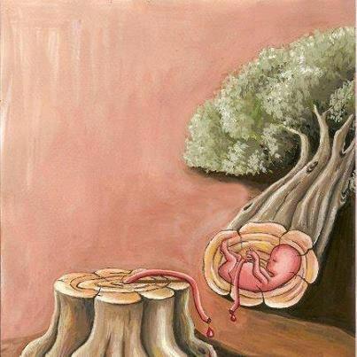 HergunYeniBilg's tweet image. 