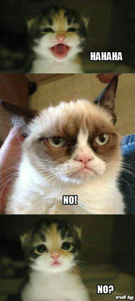 zekefalconeRP's tweet photo. @ChaseDavenport3 You're doing it all wrong Grumpy Cat. http://t.co/CRluAt0W1w