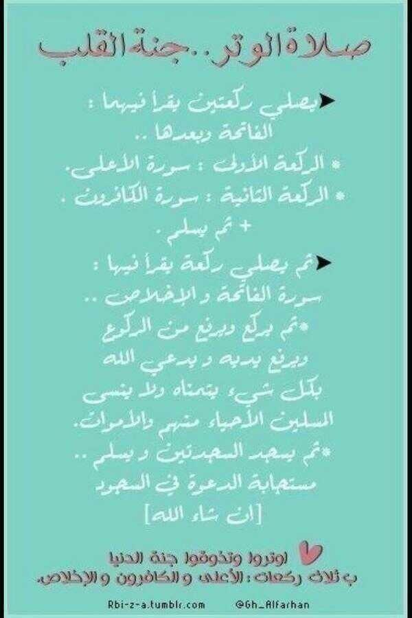freeeefree's tweet photo. ♥

طريقه اداء سنه الوتر .. الكثير منا يجلها 

#مررها_للفائده
 
. http://t.co/muUZpwPZoR