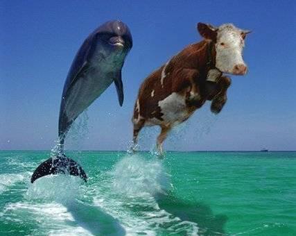 gymskin22's tweet photo. Lol this pic is like awesome http://t.co/HO2ZAMcb5G