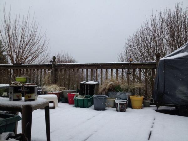 tententacles's tweet image. Spring, you are seriously fucking up. #PCWeather #WinterSquatter