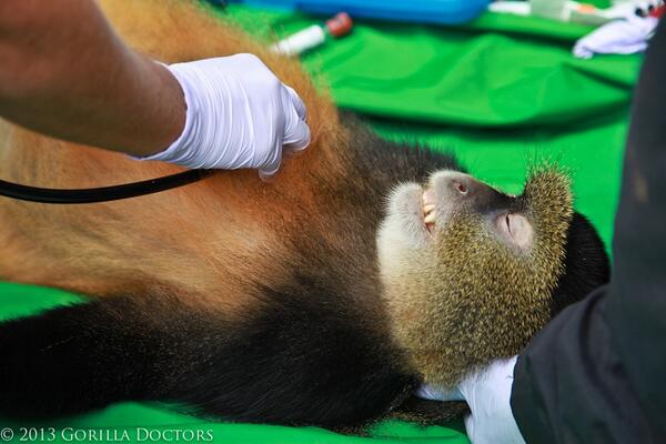 Photos of Gareth Bale arriving at hospital