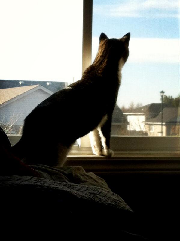 maddyburns1's tweet image. #firstspring #cutie