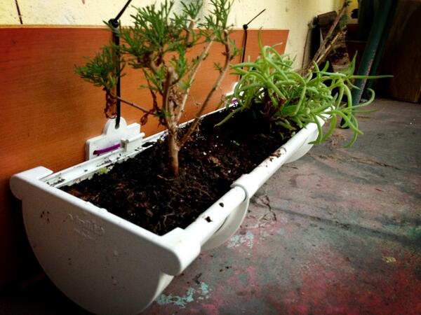 PatioDeColores's tweet photo. @DonDatos RT

Jardineras Colgantes, por unidad y montaje en jardinera vertical

[FOTO] http://t.co/IMTk1Yql8X