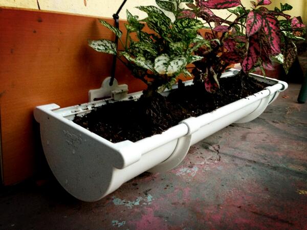 PatioDeColores's tweet photo. @DonDatos RT

Jardineras Colgantes, por unidad y montaje en jardinera vertical

[FOTO] http://t.co/FTb07hpMeV