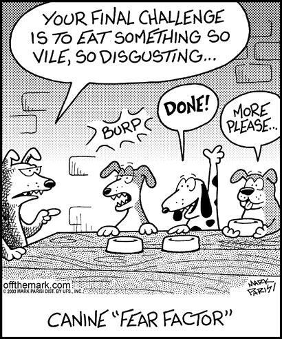 Twitter / petdocks: Does your dog inhale his/her ...