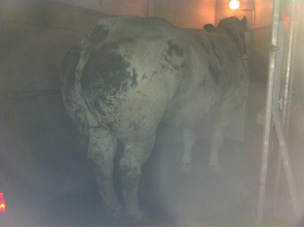 Daar gaan we weer met een brok #kwaliteit voor <a href="/slagertjeven/">Dennis van de Ven</a>