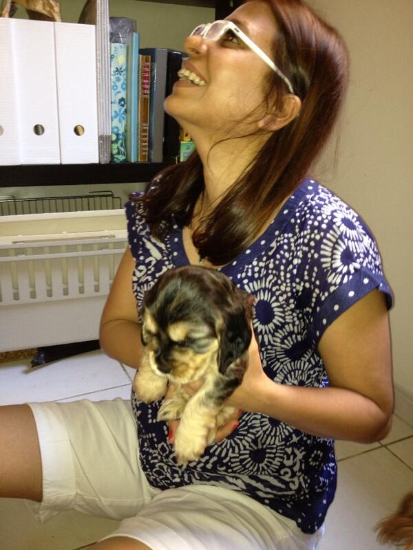 sukidk's tweet photo. Ziggys home http://t.co/xRni8hTSCL