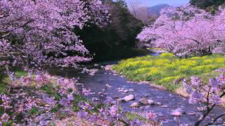 TobeCoffeeTea's tweet photo. Pretty late for coffee.  Would tea interest you?
Here is classical.Beethoven piano by Okano  http://t.co/DFbapa0ZiG http://t.co/siHByUZHeK