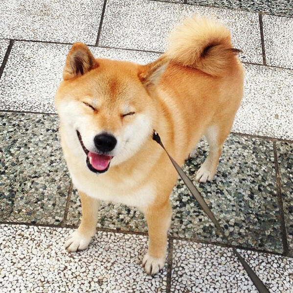 wann_suki's tweet photo. えへへ♪ https://t.co/tqhyb4eqqt