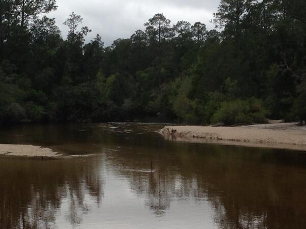 Griffin3976's tweet photo. Morning hike along the Blackwater river in Florida's panhandle with Heather. On to thewedding in Shreveport! http://t.co/6RTNppnOCh
