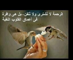 agbaal's tweet photo. http://t.co/4rE5L2uEE2