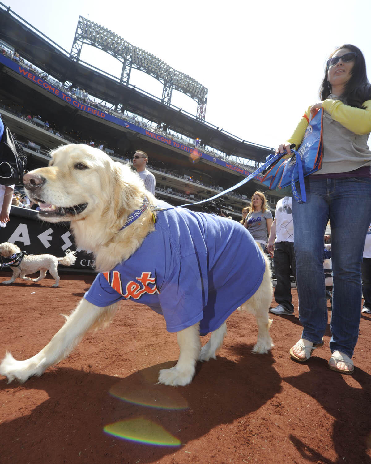 bark in the park mets