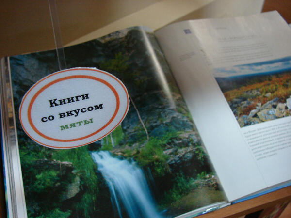 special for <a href="/MintsLife/">Жизнь мяты</a>