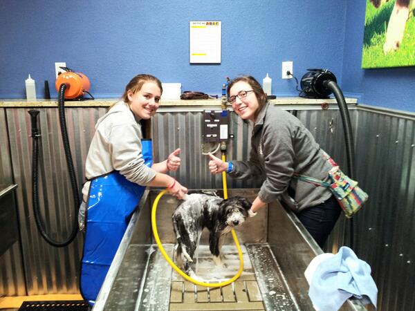 Thank you <a href="/gratefuldogbcs/">Grateful Dog</a> for having us yesterday! #bestdogwashever