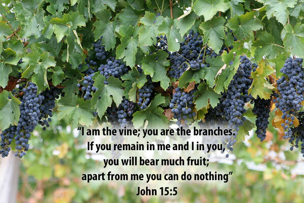 ArkPages.com tweet media