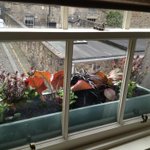Photo by Small Green Spaces (@SGSedinburgh)