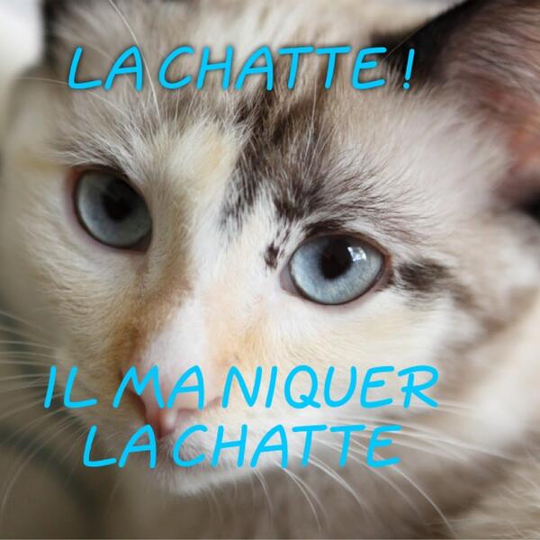 RagePah's tweet photo. PUTAIN YA 1 TUNISIEN IL MA NIQUER http://t.co/p6zfgh2r7w