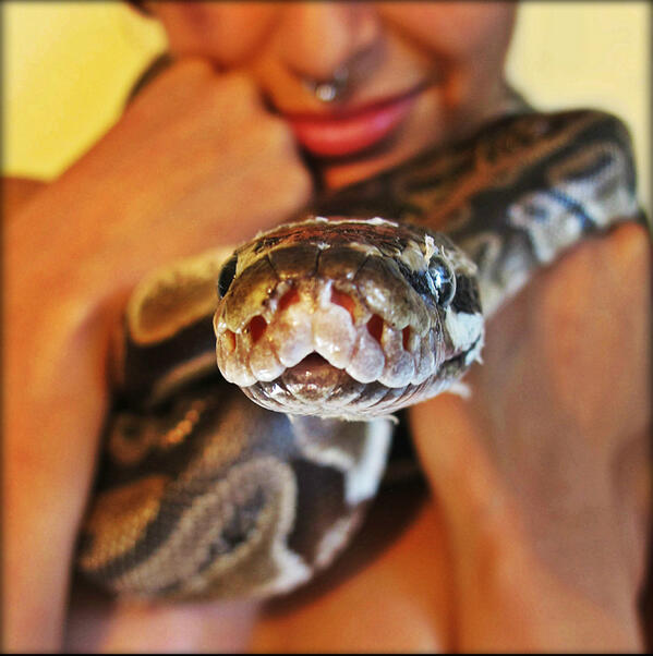 Help fund the Wild Things book! Our Kickstarter is up! kickstarter.com/projects/24421… #burlesque #photography
