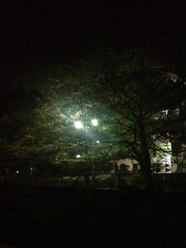 ayapan925's tweet photo. 山手線が混みすぎて新宿で具合が悪くなってシクシクしていたら、助けにきてくれたわたしのヒーロー(● ˃̶͈̀ロ˂̶͈́)੭ु⁾⁾無事タクシーで帰宅！ついでに遅いお花見♡ http://t.co/hcauEjdOIf