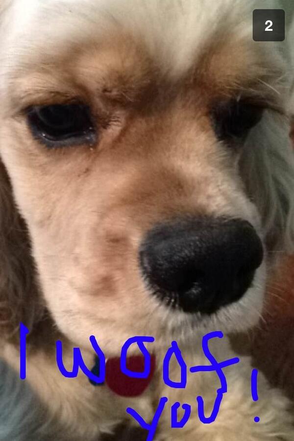 JuniDog's tweet photo. @MarlenaCNN I hope u feel better http://t.co/tKoPMvQnYV