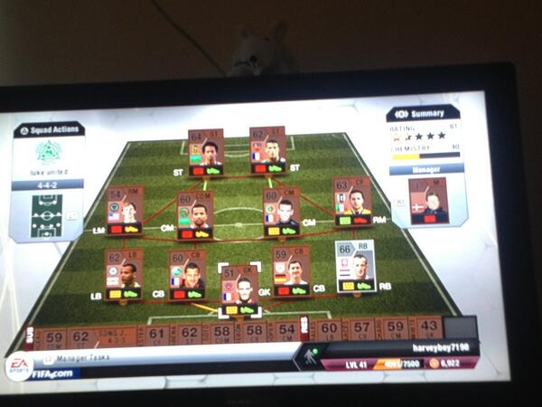 luke_harvey98's tweet image. made an ultimate team , going straight into online #imsofucked