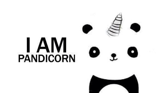 Mama_Megatron's tweet image. me tonight for @MarkusSchulz #Pandicorn #UnicornSlayer