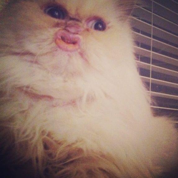JSivva's tweet photo. #ThingsThatAnnoyMe girls who pose like this all the time http://t.co/cquXN05ObL