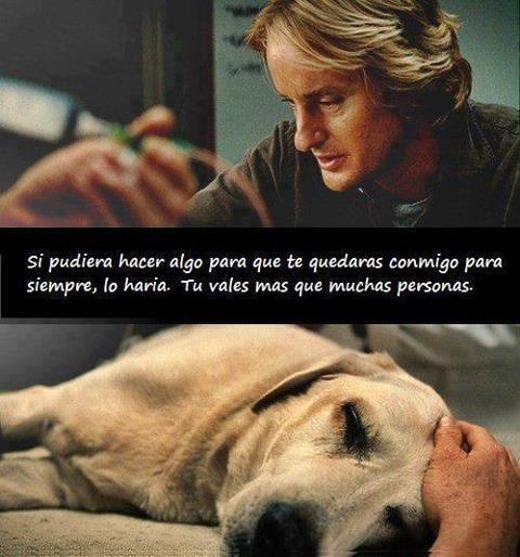 Si pudiera hacer algo para que te quedaras conmigo para siempre, lo haría...