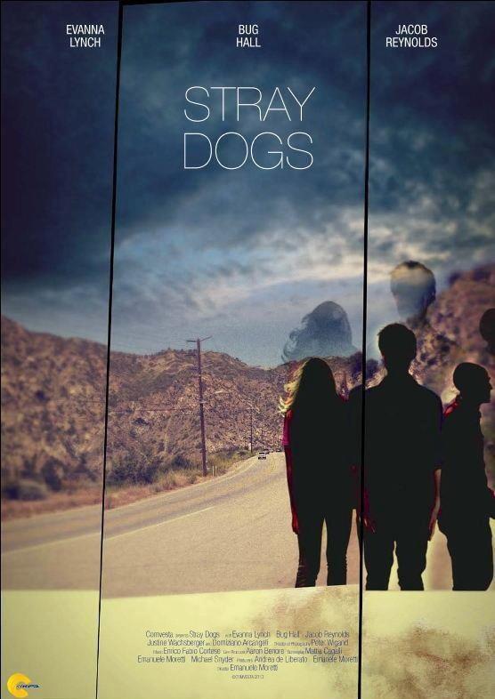 CrashFilmsInc's tweet image. Official: first poster for #CrashFilmsInc own @EmanueleMoretti new film #StrayDogs co-written with @MKSnyder1990