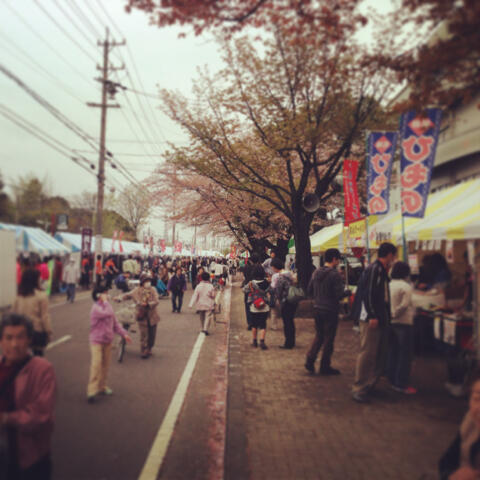 lemanmama's tweet photo. 各務原市桜祭り
始まりましたっ。今は。涼しいデス http://t.co/ADkgdGQxgO
