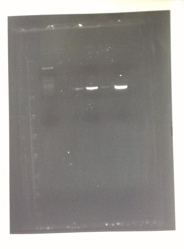 whydyouhave2BOO's tweet image. Just ignore this haha. #doinghomework