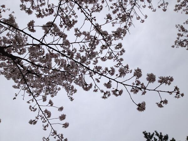 8dish2's tweet photo. http://t.co/MxbzUL2UEx