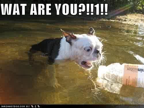 "<a href="/ashleybyles/">Ashley Byles</a>: Haha. Sien ek die foto, toe dink ek dadelik aan <a href="/Morra_B/">Morne Botha</a> se bachelors...<a href="/konnas/">Konstand</a> @Hugovh9 "