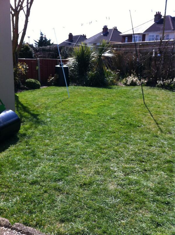 suzyqc69's tweet image. Has spring finally arrived? #warm #lawnmowed