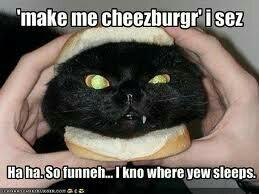 sept11_01's tweet photo. @LionKingKovu I can take a joke. http://t.co/cvZoOvEZTu