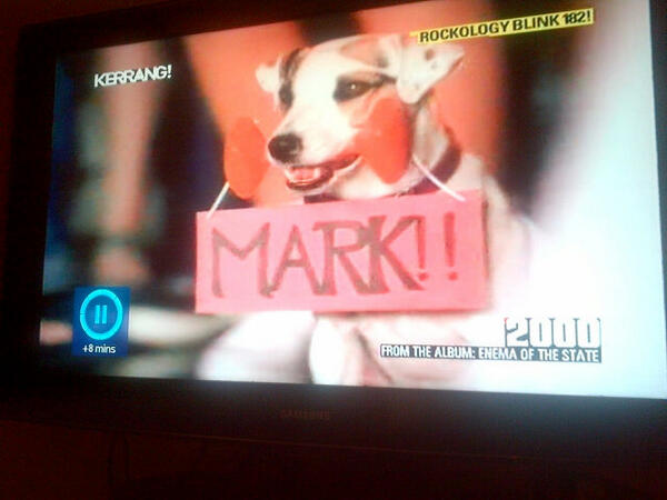 rayfenton's tweet photo. @markhoppus. Hey mark http://t.co/d5PP9aLUH0