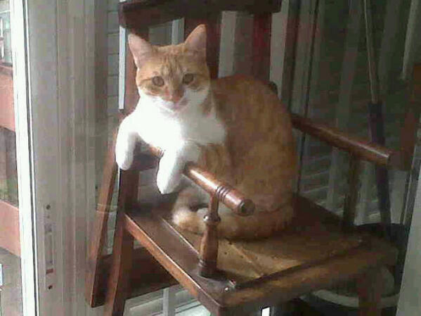 GatoPequemiau's tweet photo. Tengo a las nenas loquitasssss http://t.co/8d8nzMHj9M