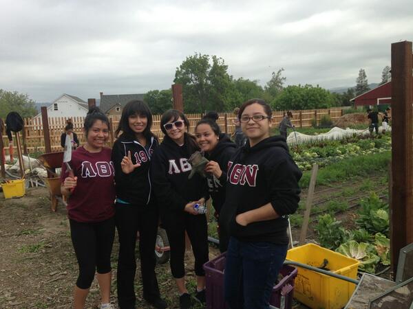 SJlambdas's tweet image. Putting in work!! #LambdaThetaNu     #communityservice #epsilonclass
