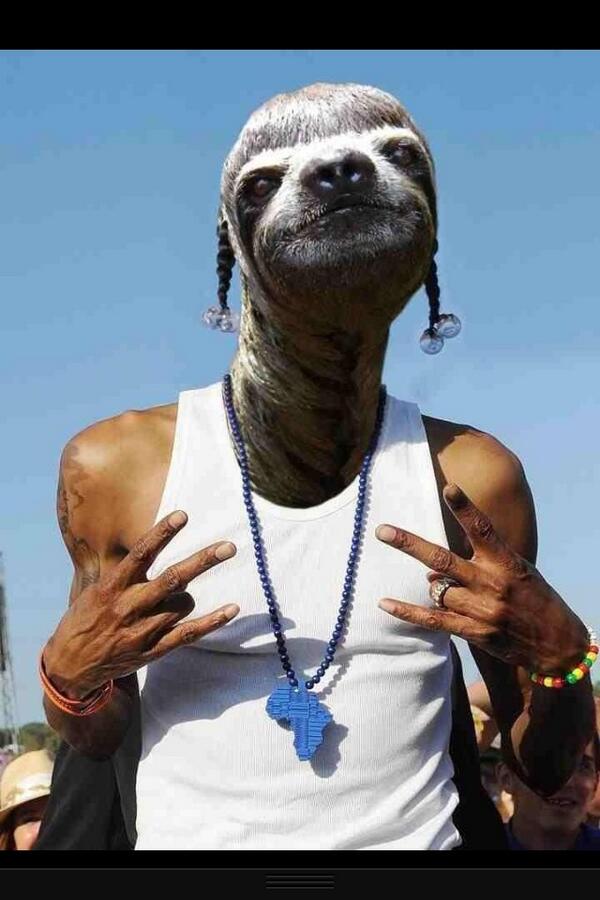 InternetSloth's tweet image. Snoop Sloth.