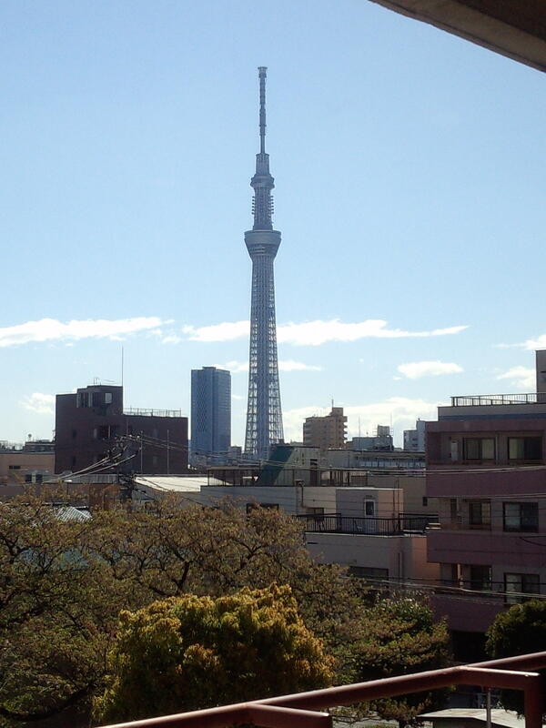 potechin1970's tweet photo. 今日は昨日の松戸六実の桜まつりから一転、スカイツリーが見える練習場で、マンドリンの合奏練習(^_^) http://t.co/Dw93IAtaIZ