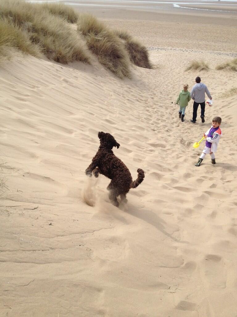 Twitter / PlaceShaper: On the sand dunes at #Lytham ...