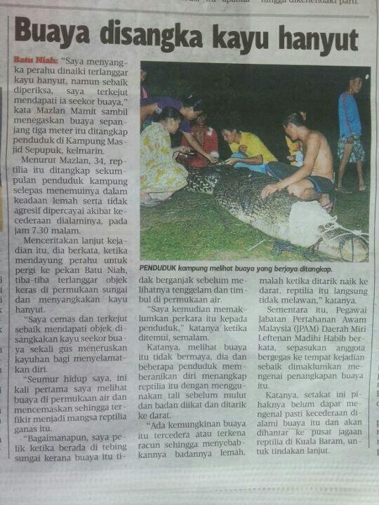 JPAMMiri tweet media