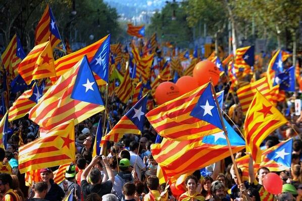 Colmenero 🇪🇸 tweet media
