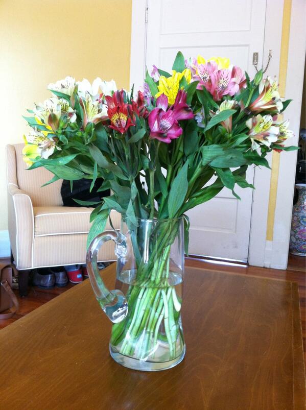 mmoonryan's tweet photo. @JGOBunting what a lovely surprise! Thanks for thinking of us, and let's Skype soon...have updates! http://t.co/UdrOwKGRpi