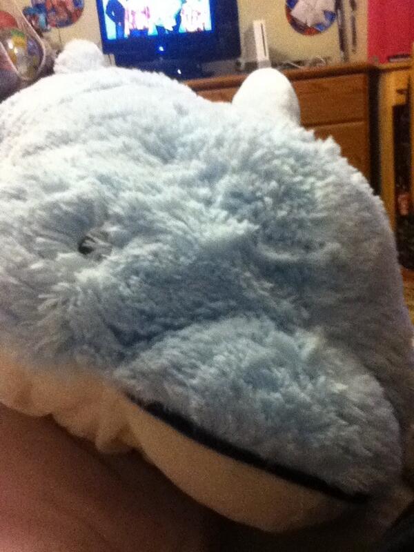 lizzypes's tweet image. So bord and lising to music and laying down on my piow pet  Anderw