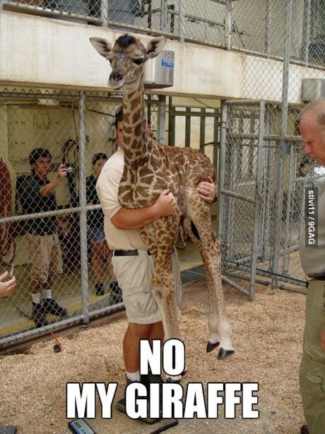 ReDatom's tweet image. 