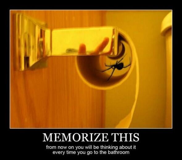 Top 20 Funniest Demotivational Posters Ever - chilloutpoint.com/funny/top-20-f…