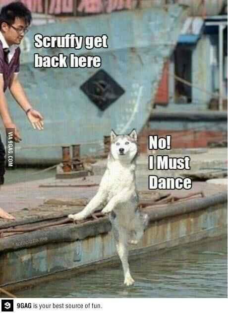 lindalandbo's tweet photo. I must dance http://t.co/droVCeRhqM via @9GAG http://t.co/Y1Bp3C0wVk